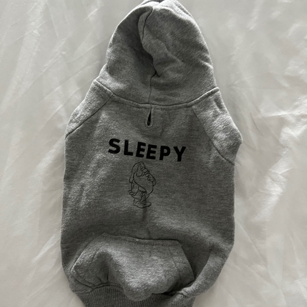SLEEPY OVERSIZED HOODIE GRAY (SMALL)